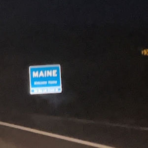 Meet your Posher, Bella